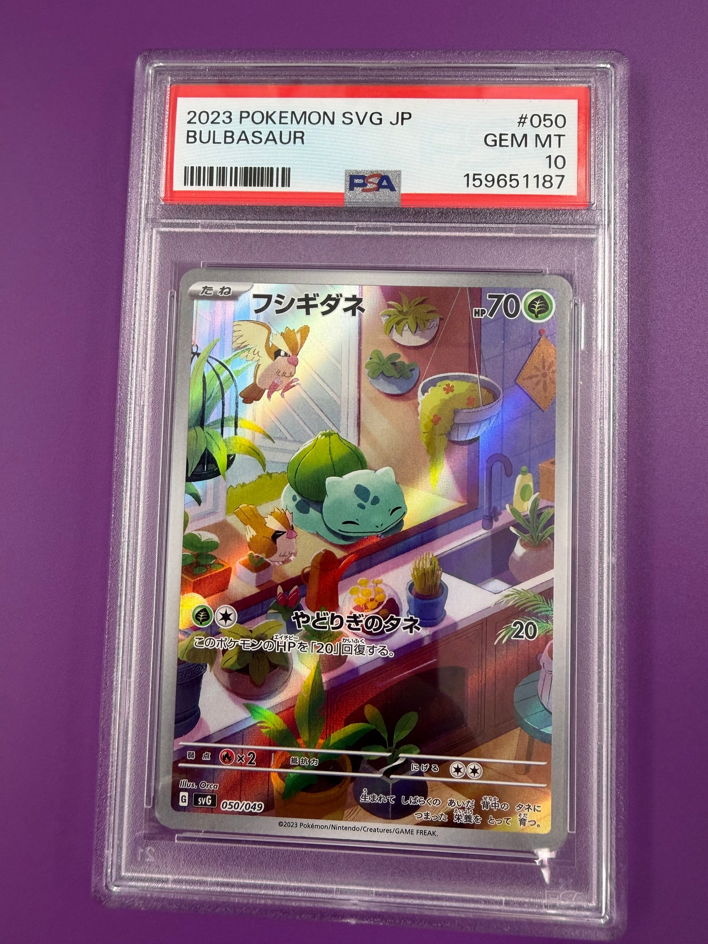 2023 JAPANESE BULBASAUR #50 PSA 10 PK1293