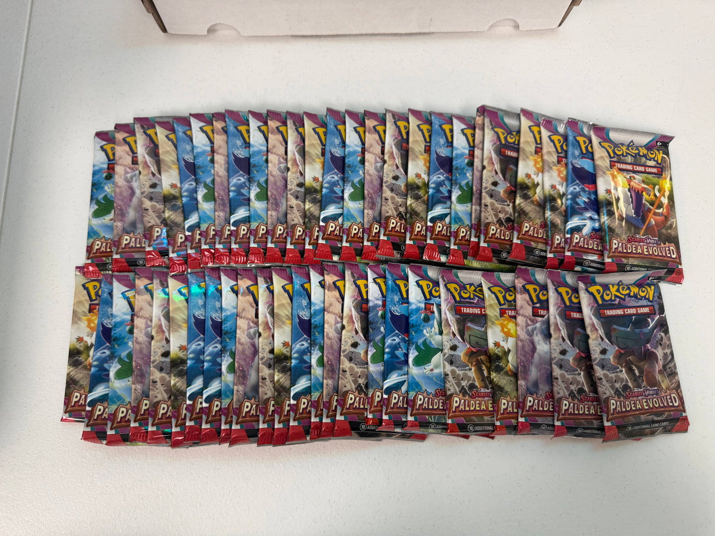 PALDEA EVOLVED 50 COUNT BUNDLE *DAILY DEAL*
