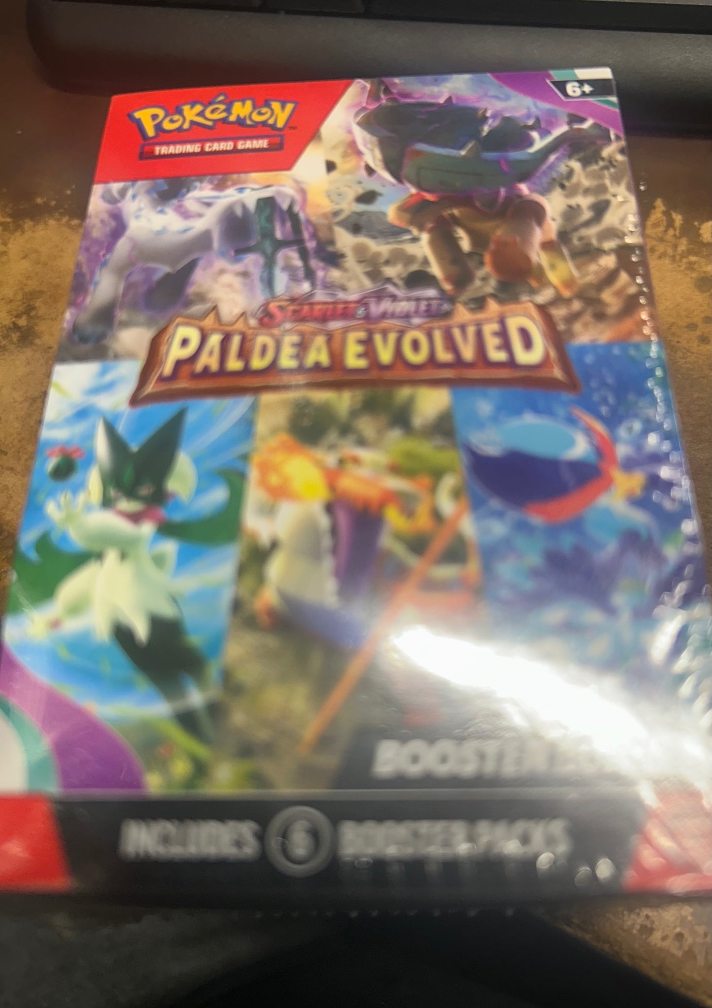 PALDEA EVOLVED BOOSTER BUNDLE